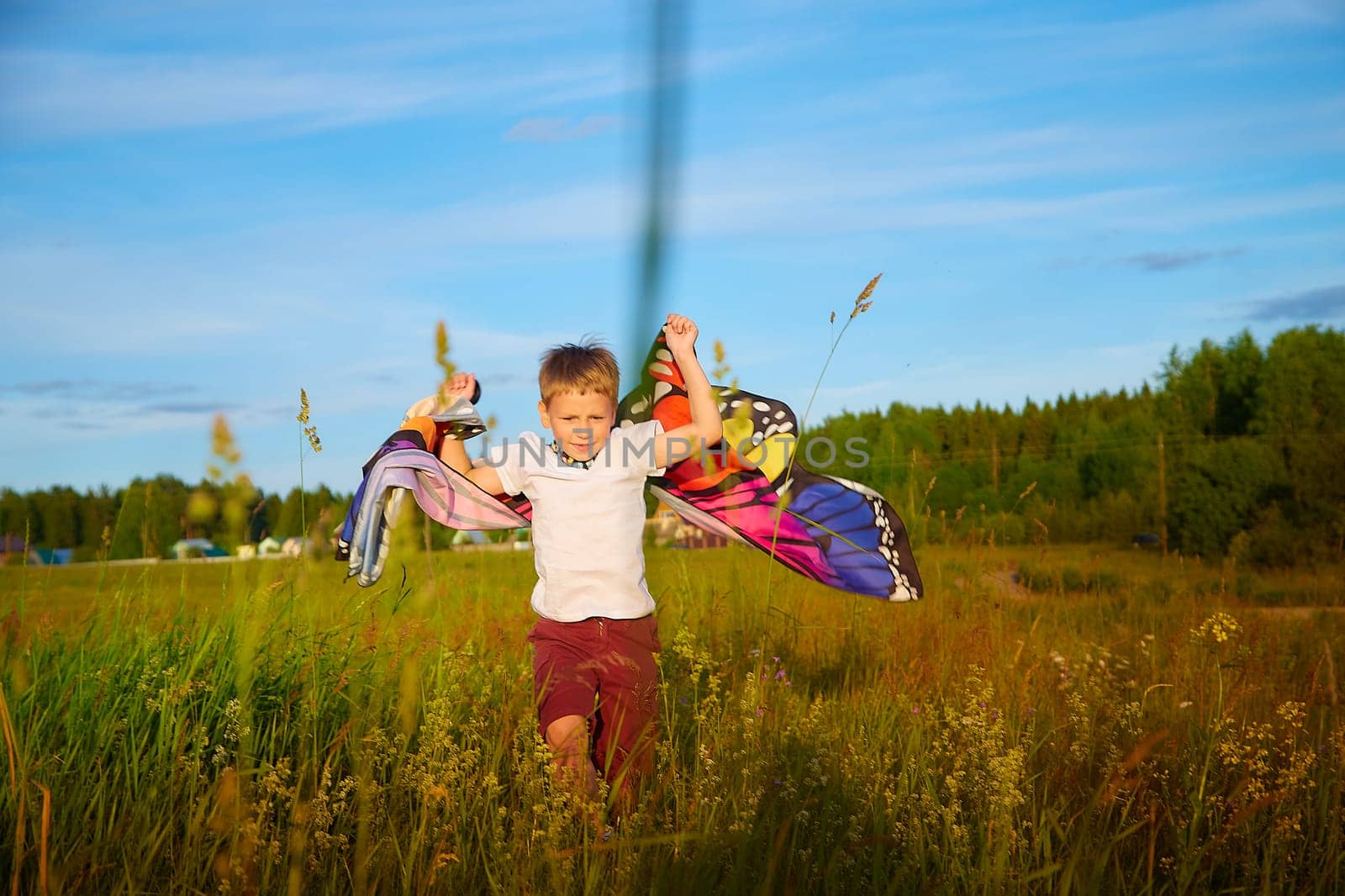 Handsome boy with bright butterfly wings having fun in meadow on natural landscape with grass and flowers on sunny summer day. Portrait of a teenage guy in spring season outdoors on field by keleny