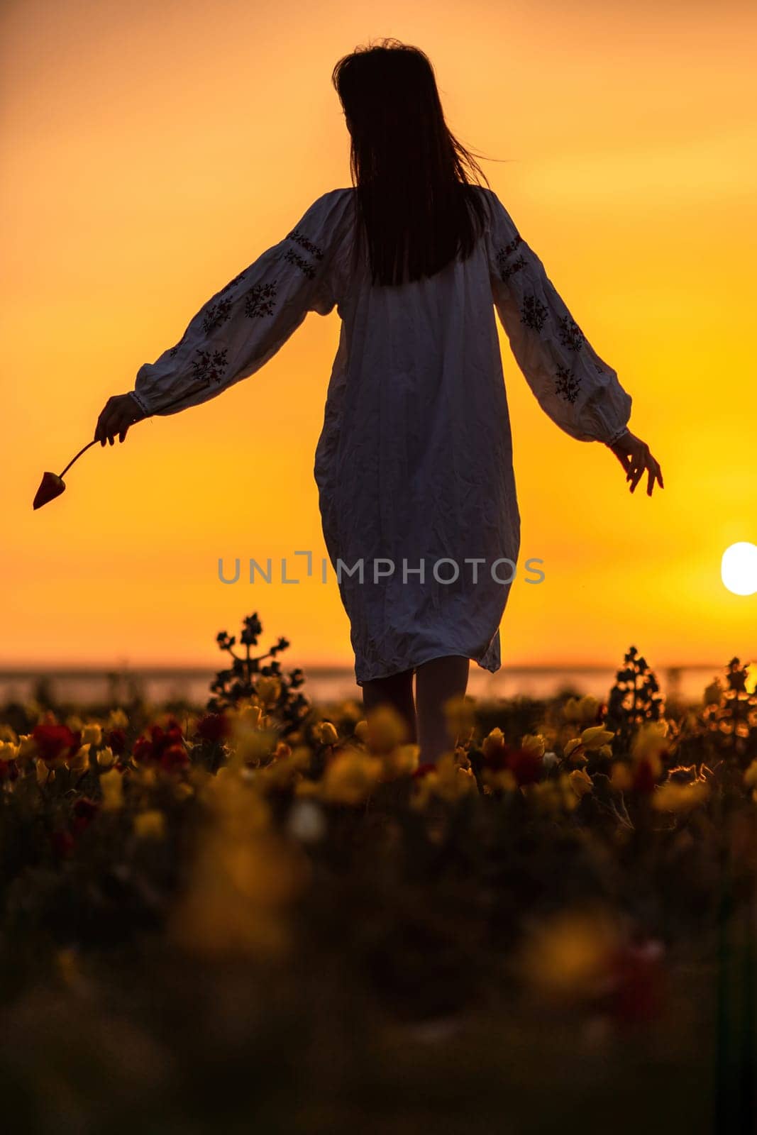 Woman back against sunset and wild tulip flowers, natural seasonal background. Multi-colored tulips Tulipa schrenkii in their natural habitat are listed in the Red Book. by Matiunina