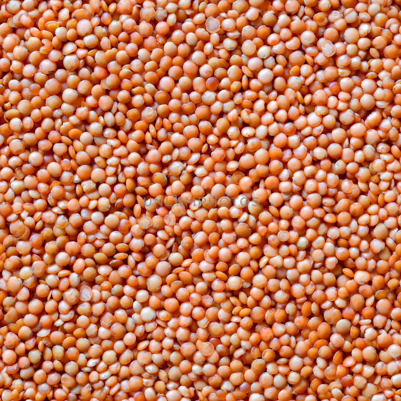 Seamless texture of orange lentil groats, top view by Laguna781