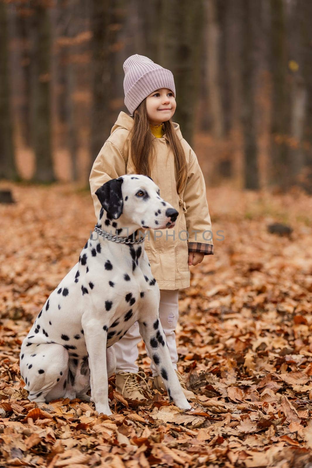 girl with a Dalmatian dog in the forest by zokov