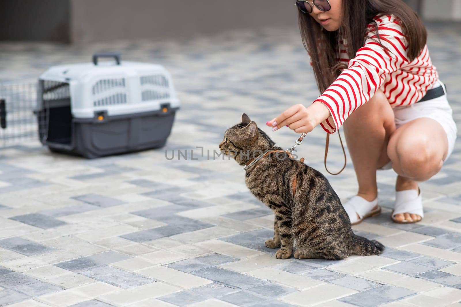 A gray striped cat pulls its owner by the leash while walking outdoors