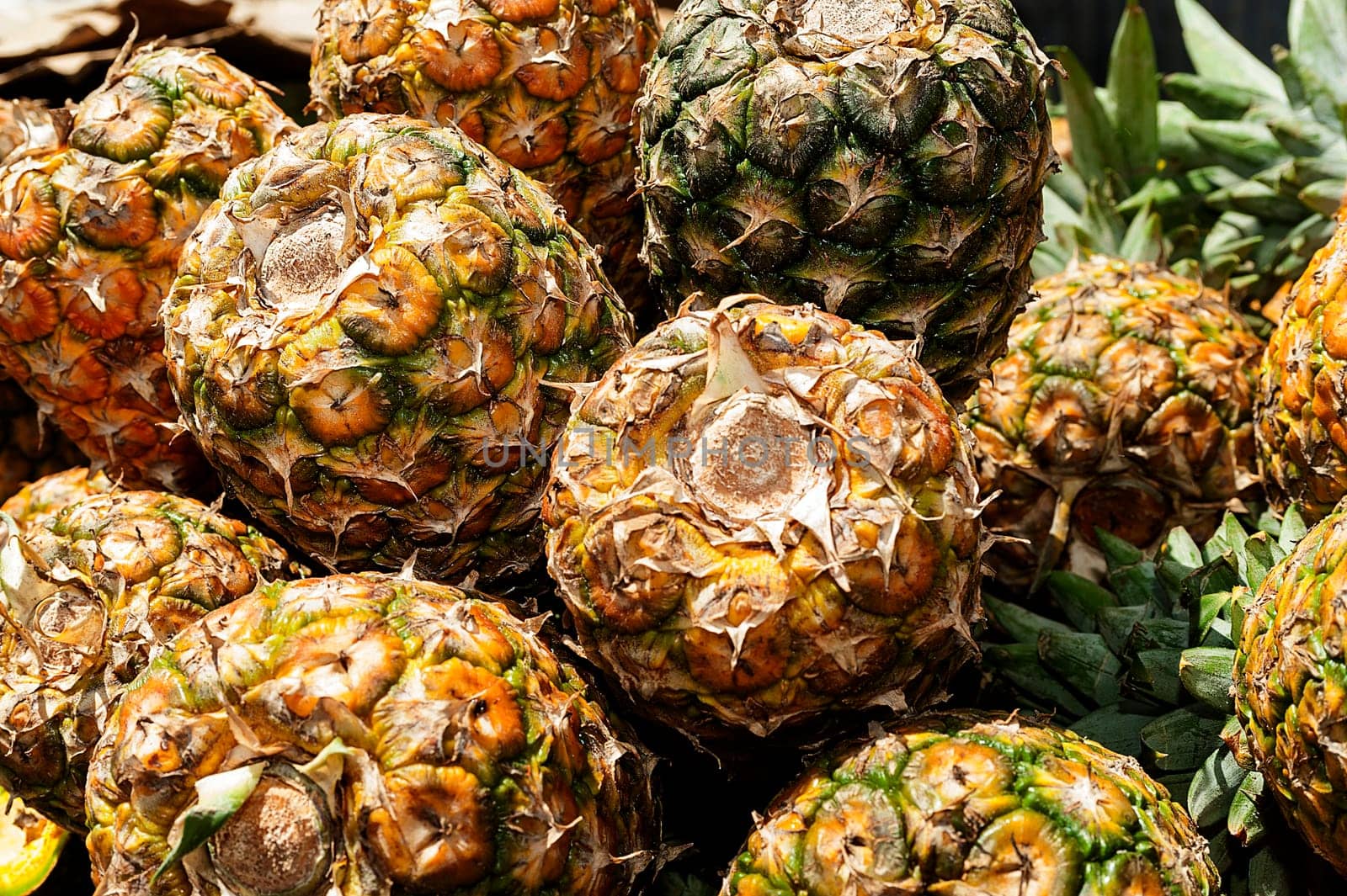 Pineapple at the fruit and vegetable market, Higuey, Repubblica Dominicana, La Altagracia