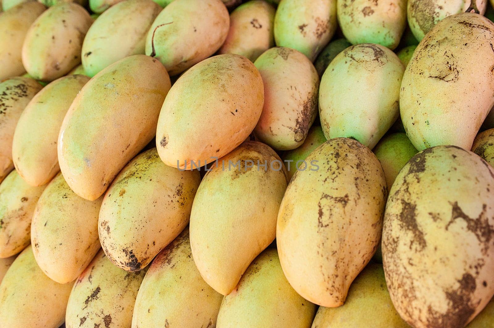Mango fruit at the vegetable market in Phuket, Thailand