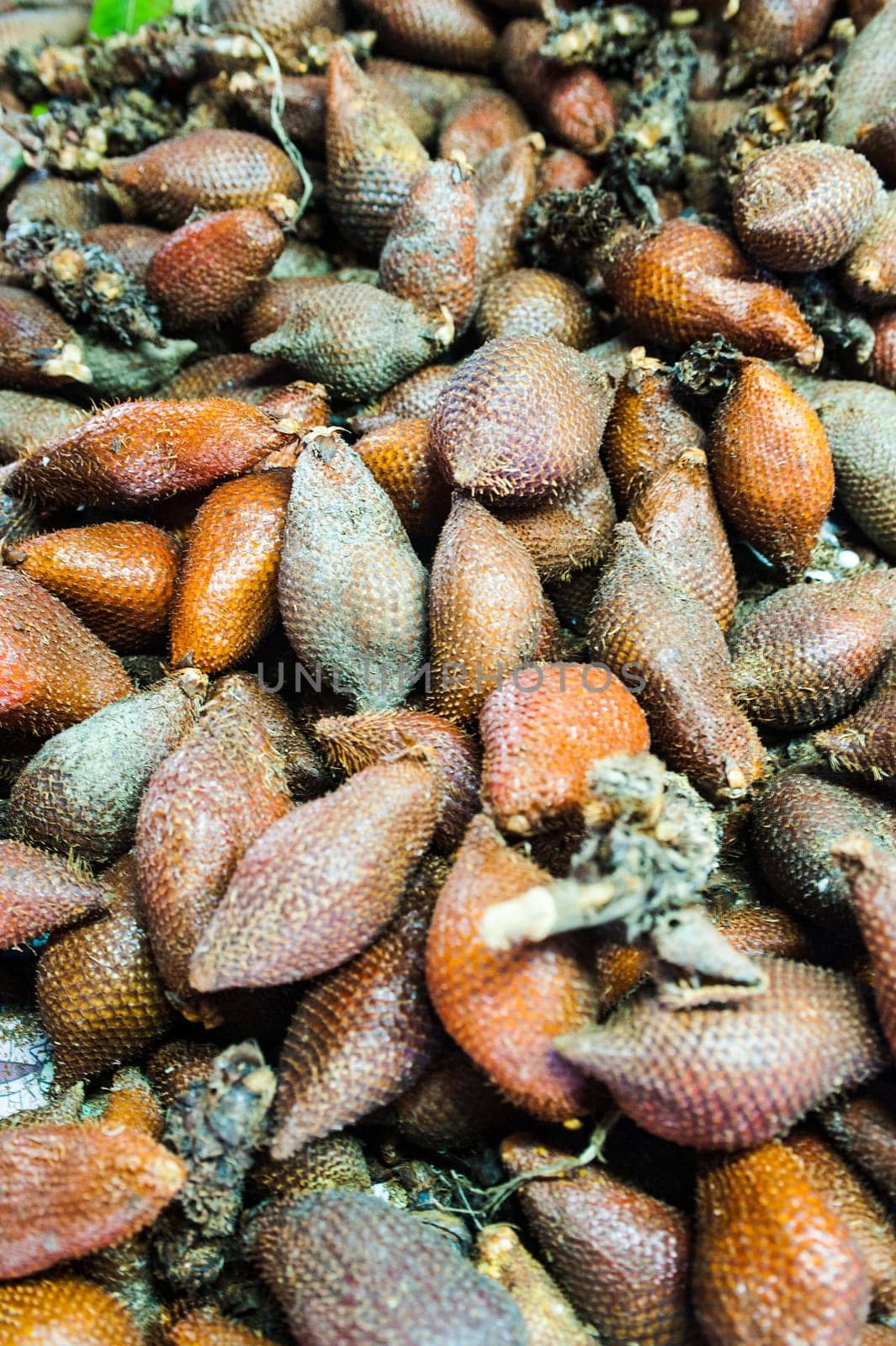 Salacca fruit at the vegetable market in Phuket, Thailand