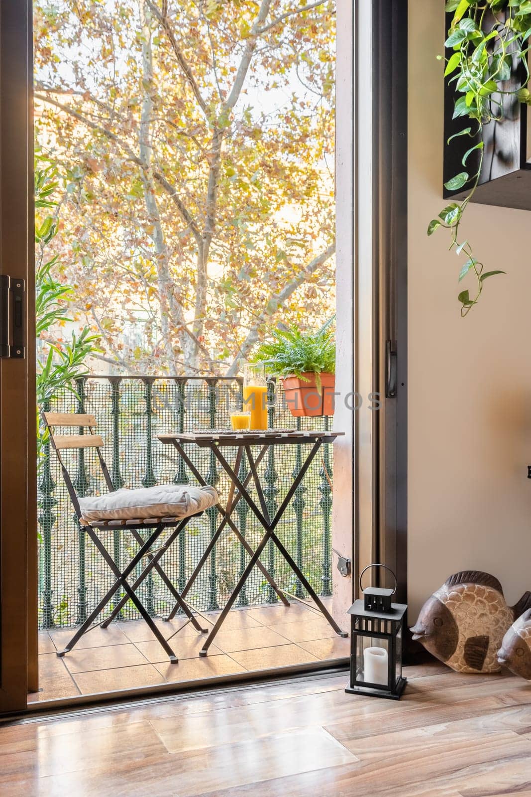 View from room to the balcony with table and stylish decor elements with coffee table and chair with orange juice overlooking the park with an autumn landscape. Concept of a cozy apartment by apavlin