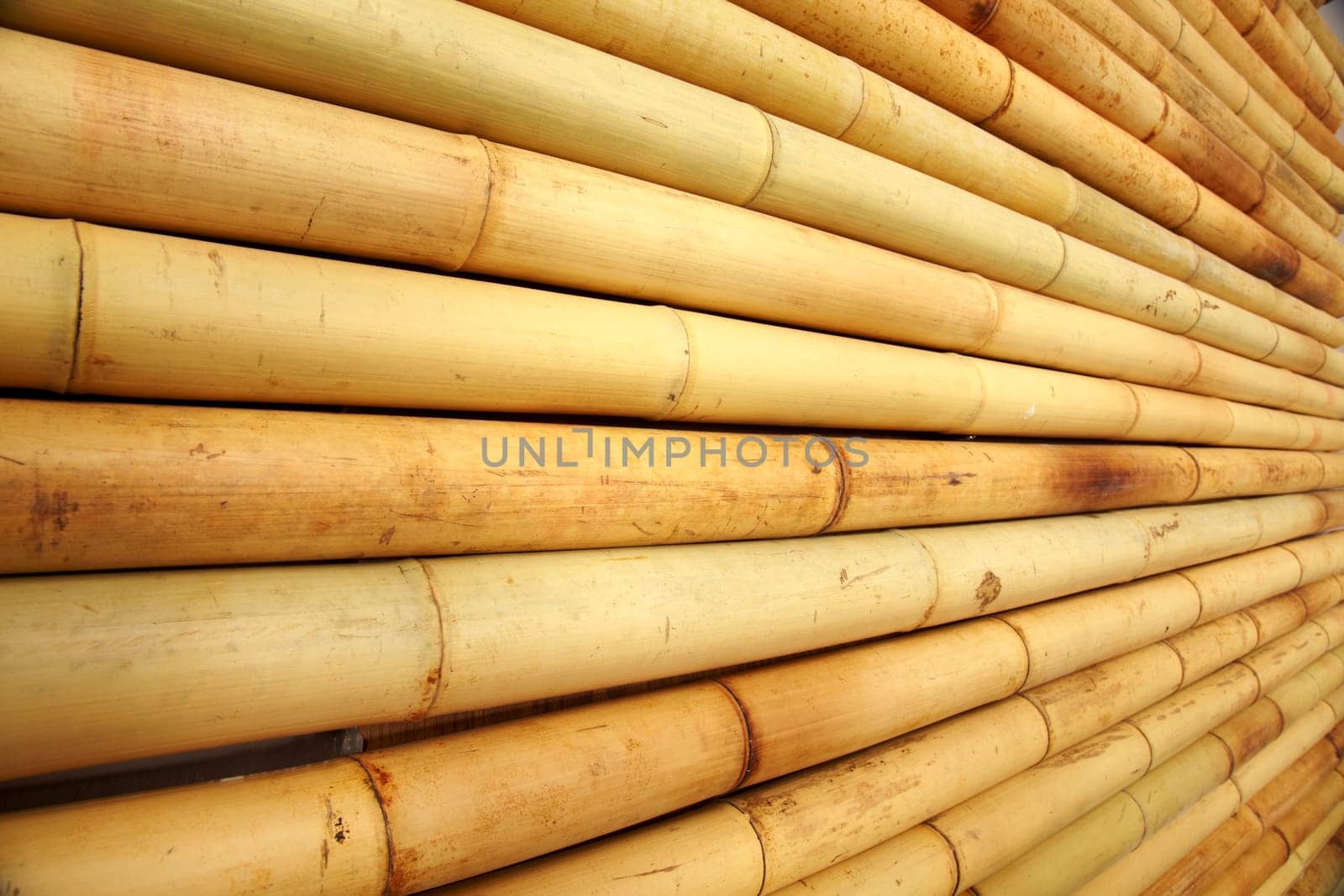 Bamboo cane background texture by emirkoo