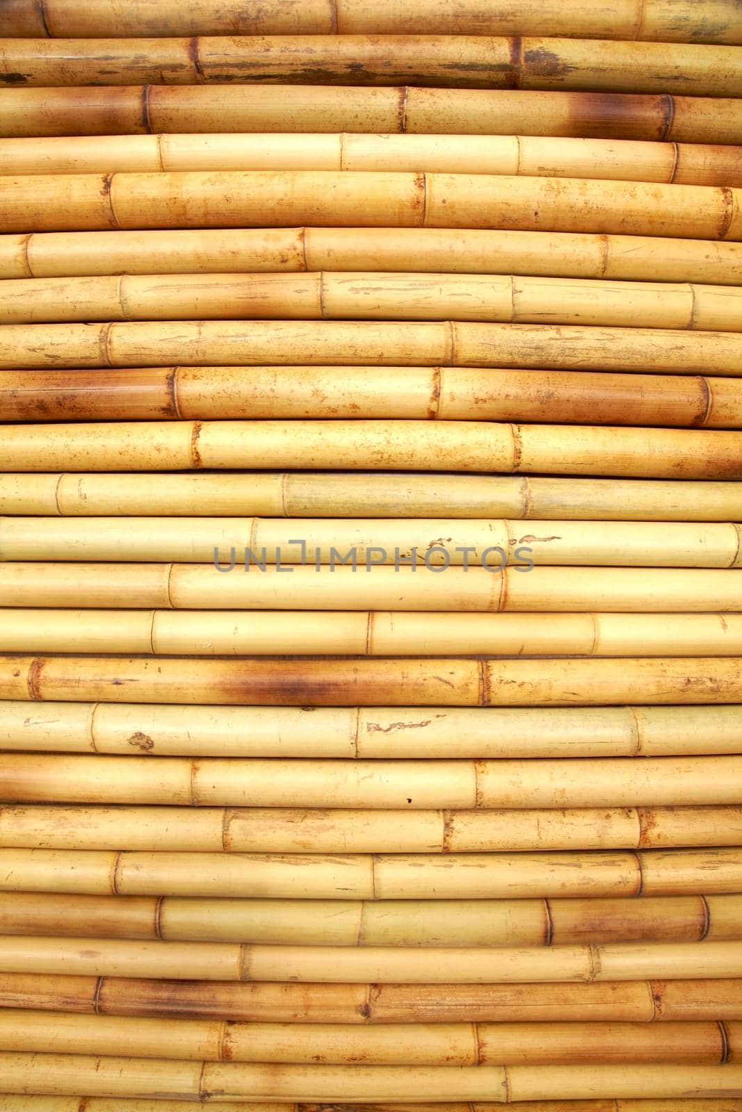 Bamboo cane background texture by emirkoo