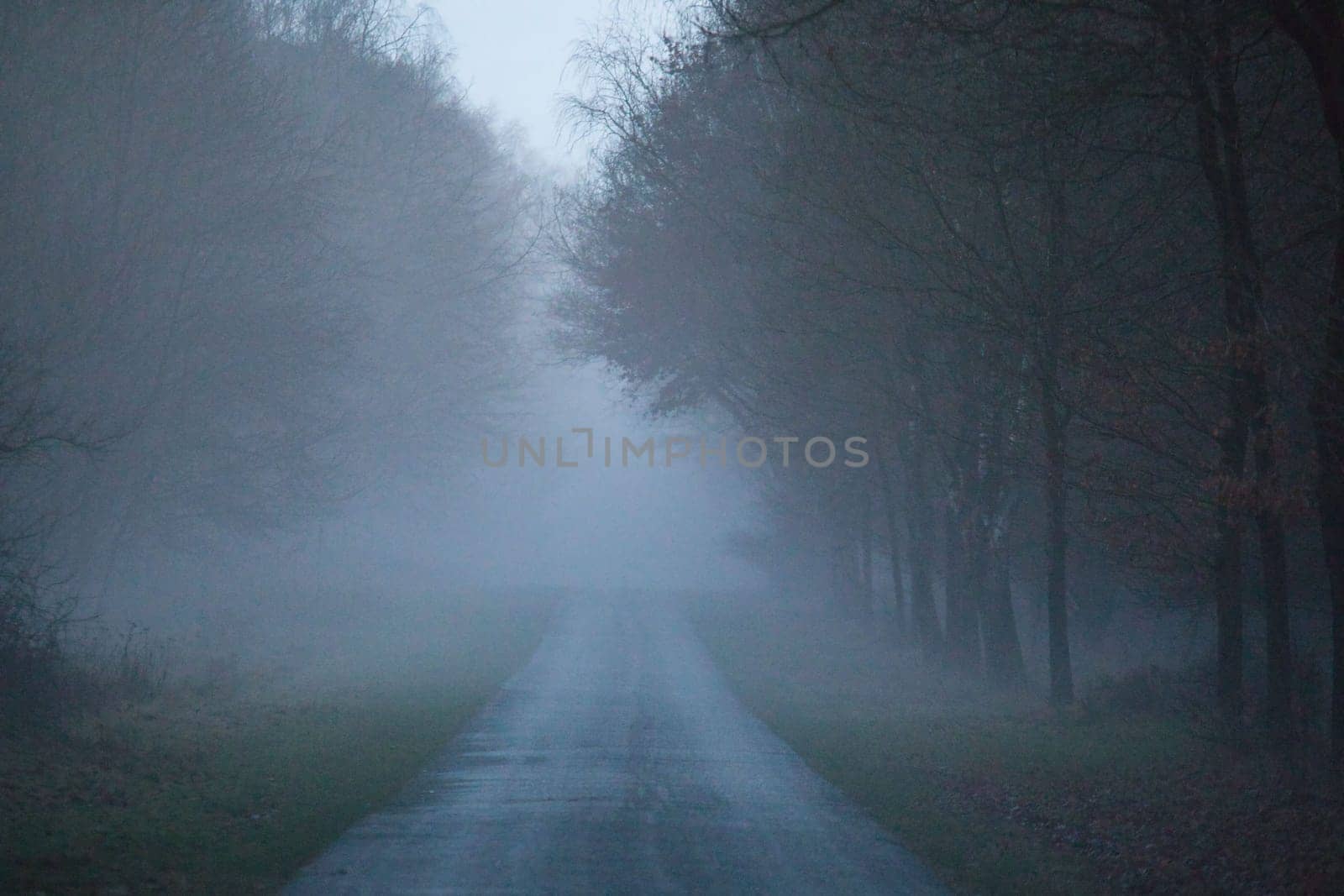 Asphalt road after the rain in the evening on a foggy day with a car in the background