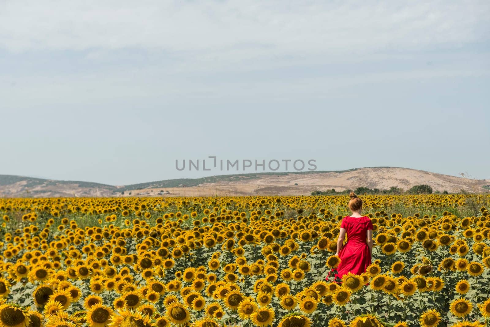 Sunflower field by emirkoo