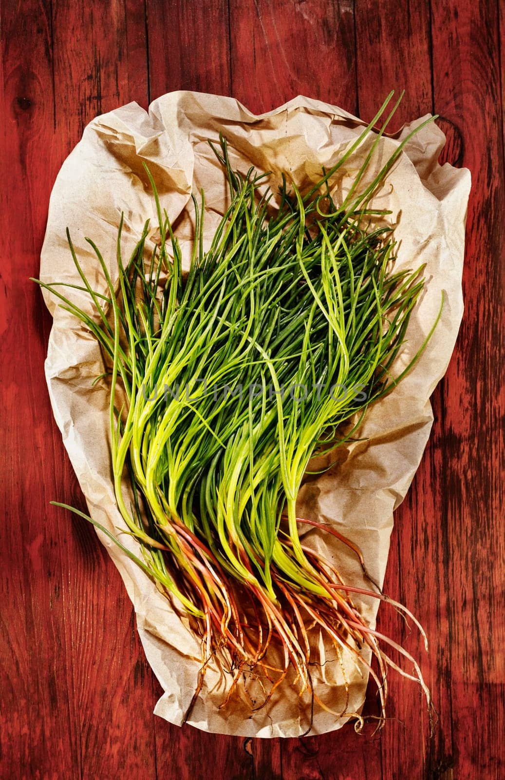 Bunch of agretti -salsola soda or opposite -leaved saltwort -on red wooden table ,fresh uncooked green leaves
