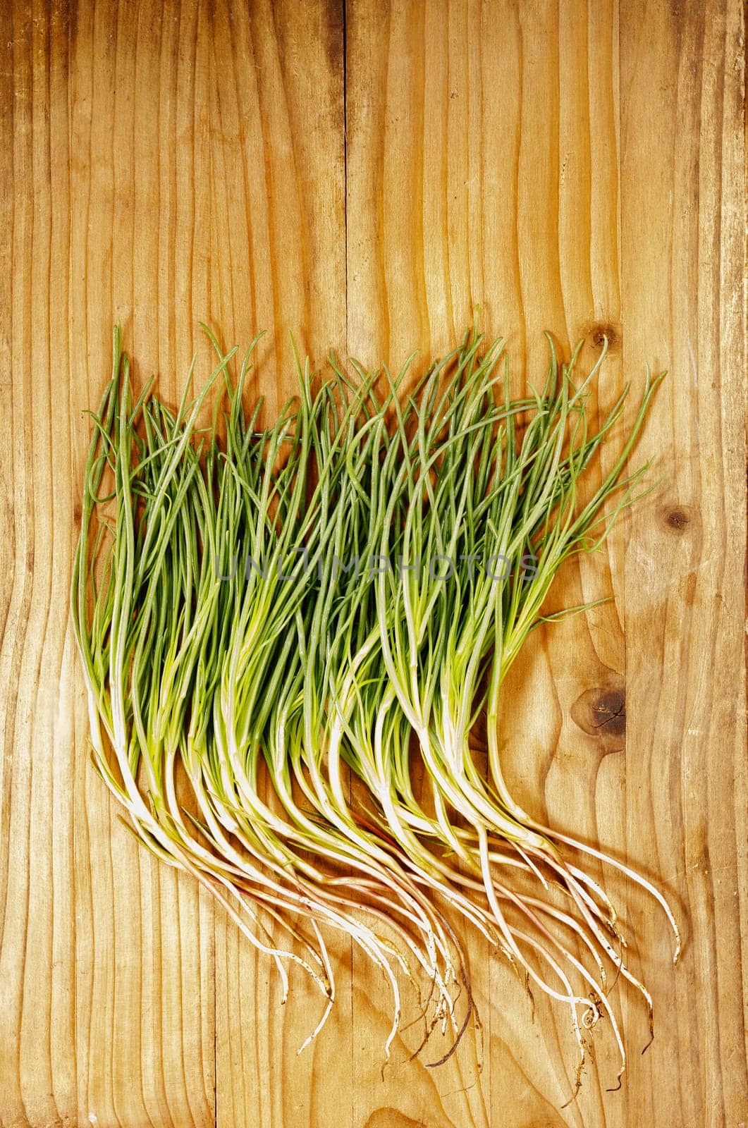 Bunch of agretti -salsola soda or opposite -leaved saltwort -on wooden table ,fresh uncooked green leaves