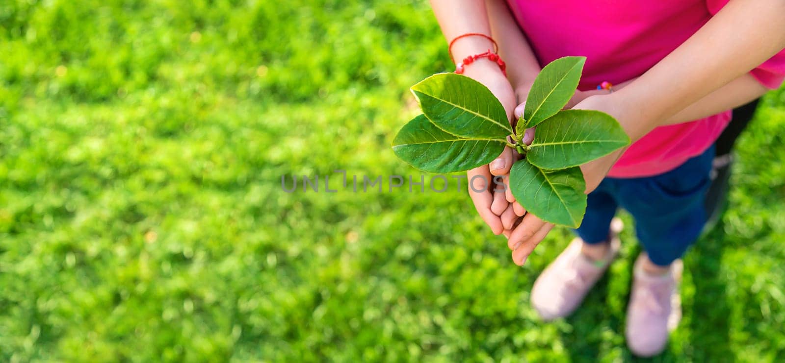 Children take care of nature tree in their hands. Selective focus. Kid.
