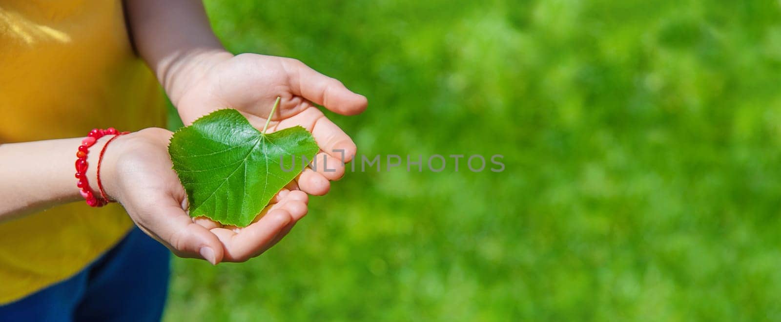The child is holding a tree in his hands. Selective focus. Nature.