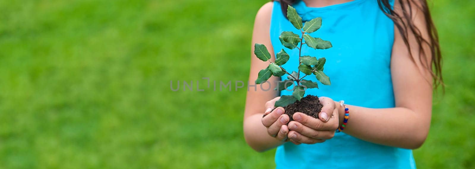 The child holds the plant and soil in his hands. Selective focus. Kid.