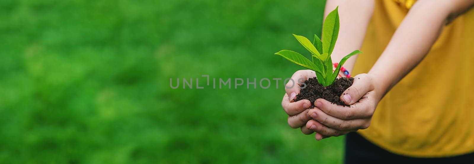 The child holds the plant and soil in his hands. Selective focus. Kid.