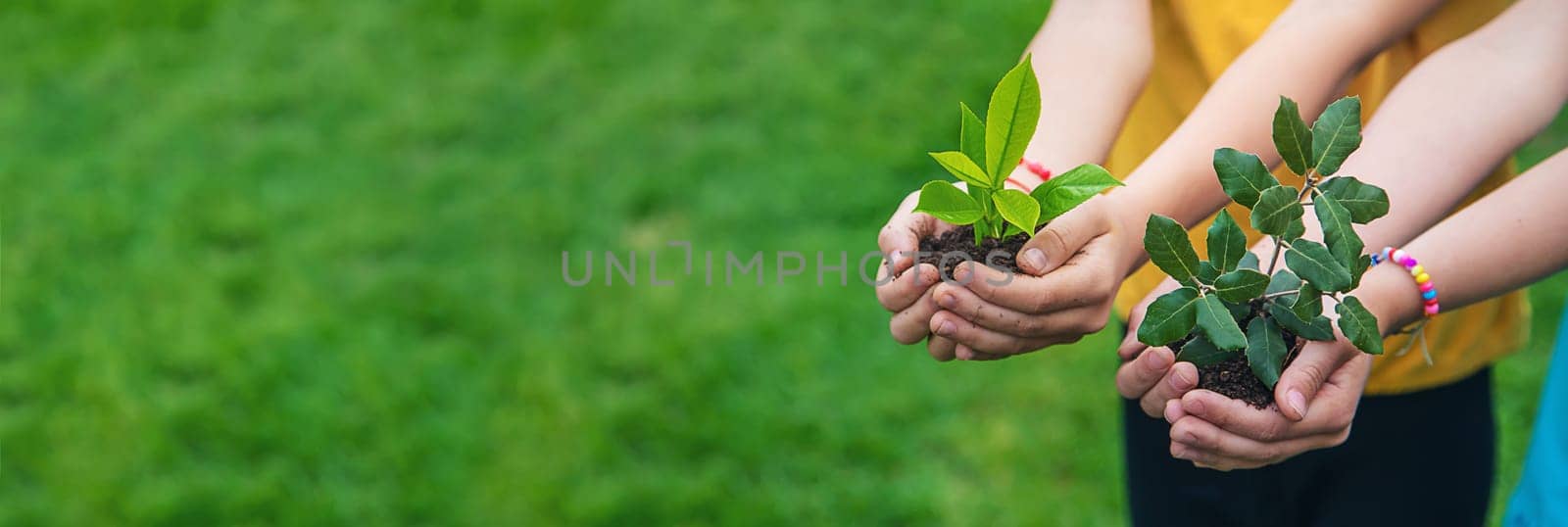 The child holds the plant and soil in his hands. Selective focus. Kid.