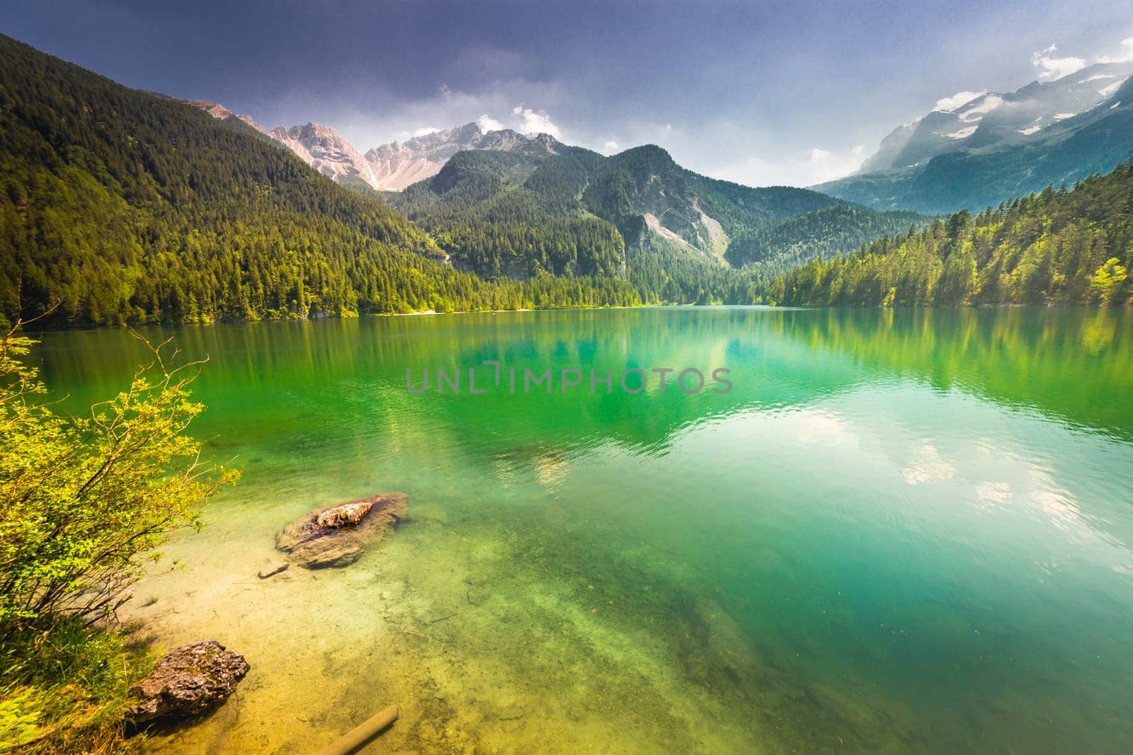 Alpine and idyllic Lake Tovel , Trentino alto adige, Dolomites alps , Italy