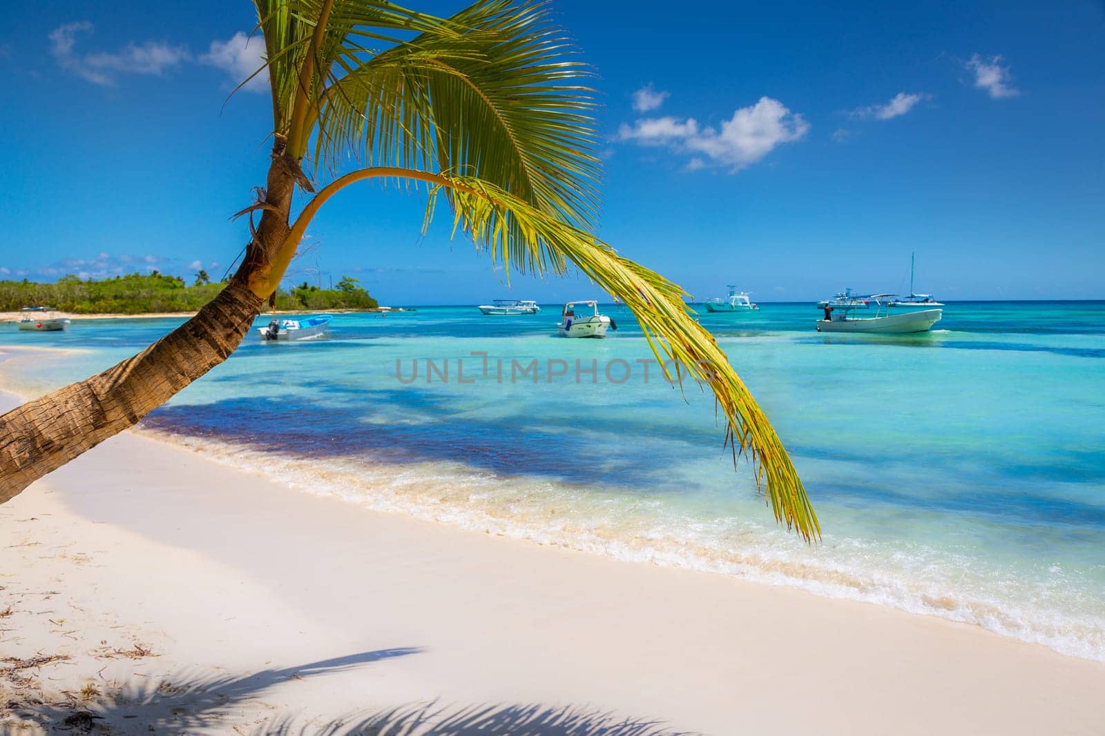 palm trees against blue sky and beautiful beach in Punta Cana at sunny day, Dominican Republic.