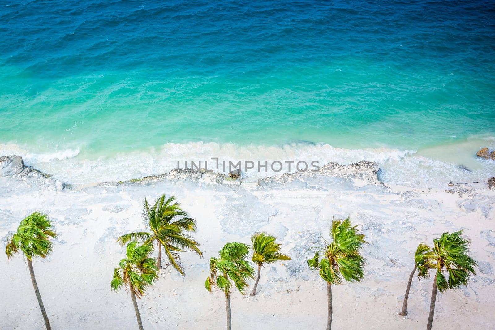 Cancun beach with palm trees from above at sunset, Riviera Maya, Mexican Caribbean