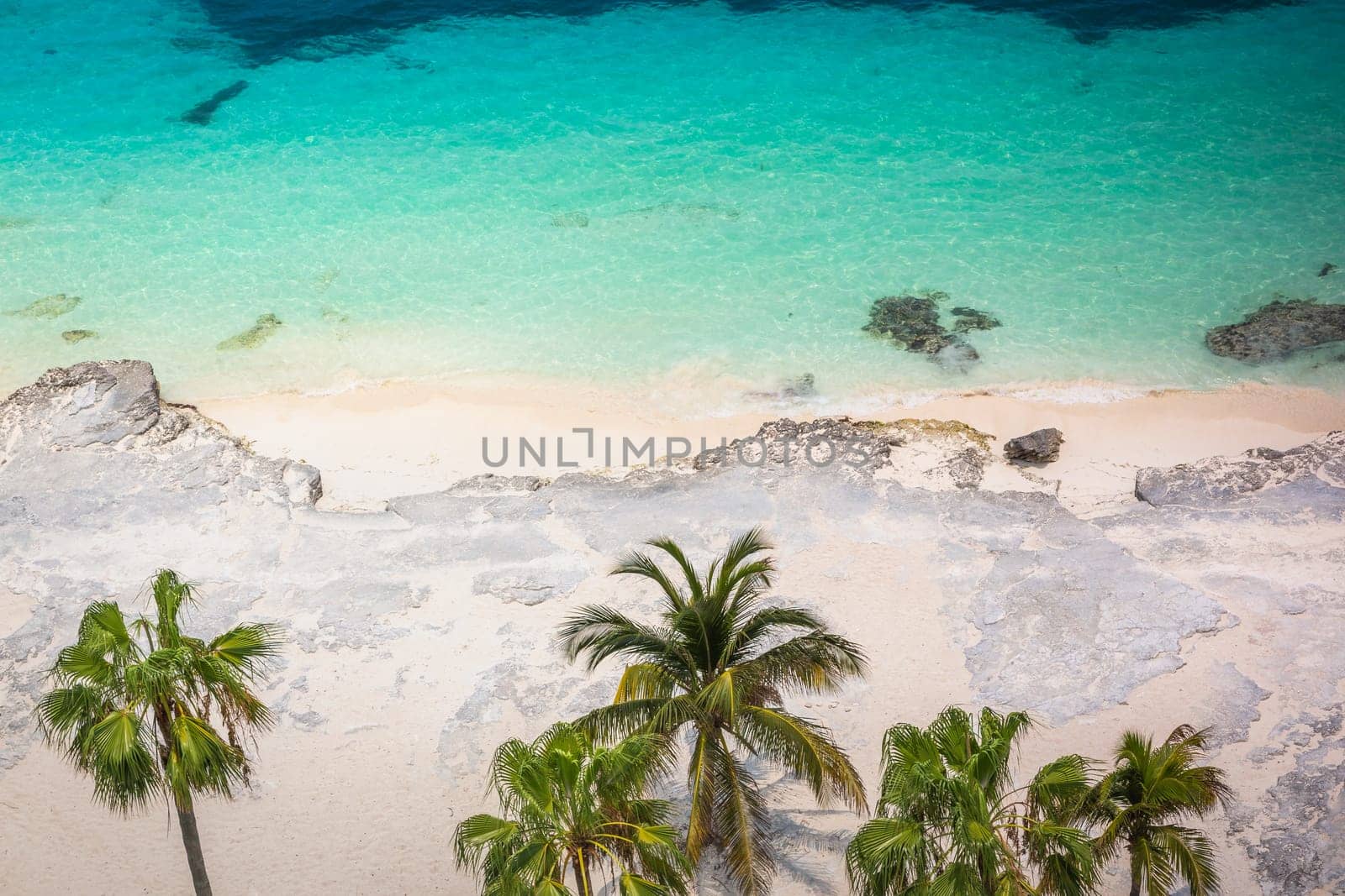 Cancun beach with palm trees from above at sunset, Riviera Maya, Mexican Caribbean