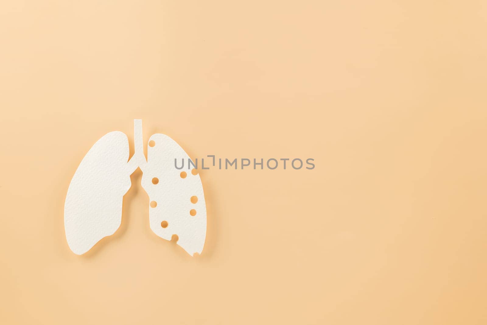 World tuberculosis day. Lungs paper cutting decorative symbol on pastel background, copy space, concept of world TB day, no tobacco, banner background, respiratory, lung cancer awareness, 24 March