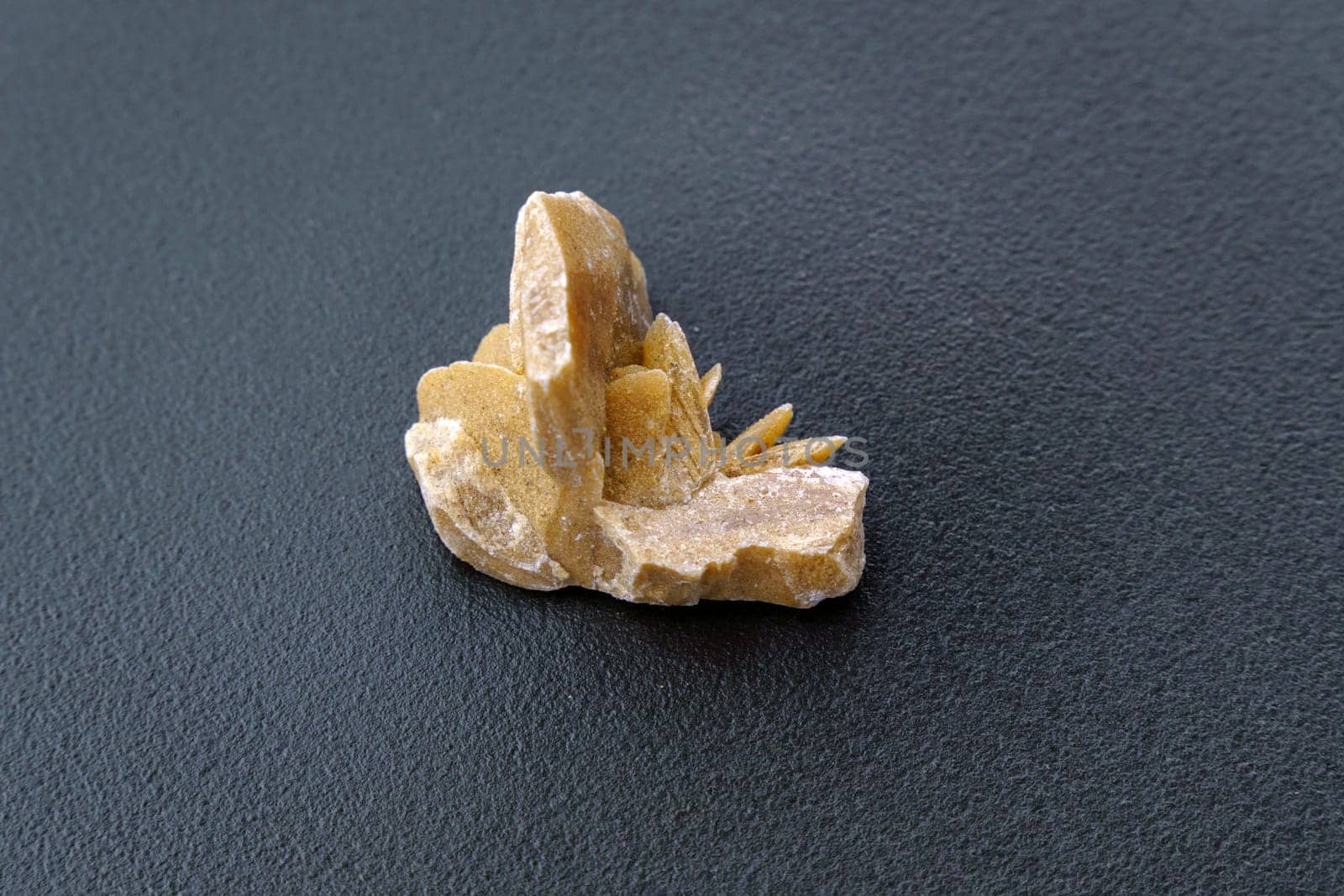 Desert Rose. Natural mineral close up of stone cluster from sand gypsum crystal, black background