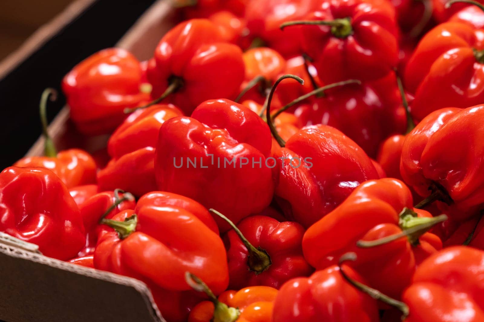 Chili habanero hottest pepper in Mexico. Sale of peppers on the market