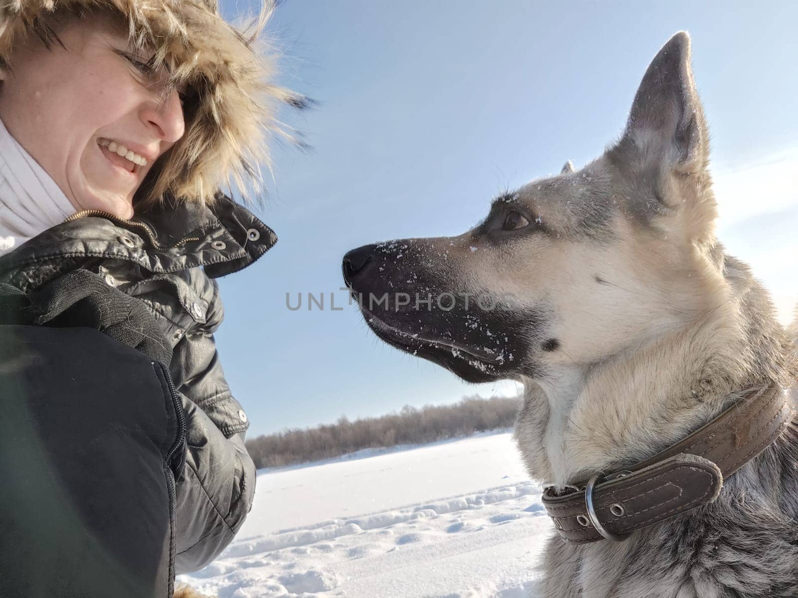An adult girl or a middle aged woman in jacket with a fluffy fur hood with a shepherd dog in nature in winter on a cold sunny day by keleny