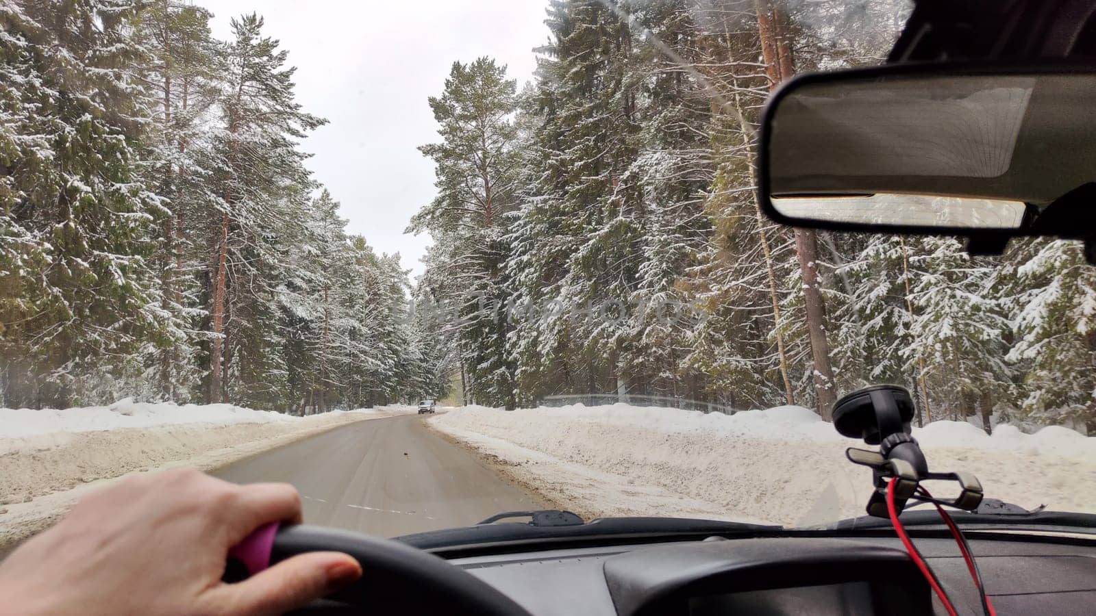 Hand of woman on the steering wheel in a car and forest and snow on the side of the road on a winter day. Woman driving car in winter travel in landscape with snow covered woods