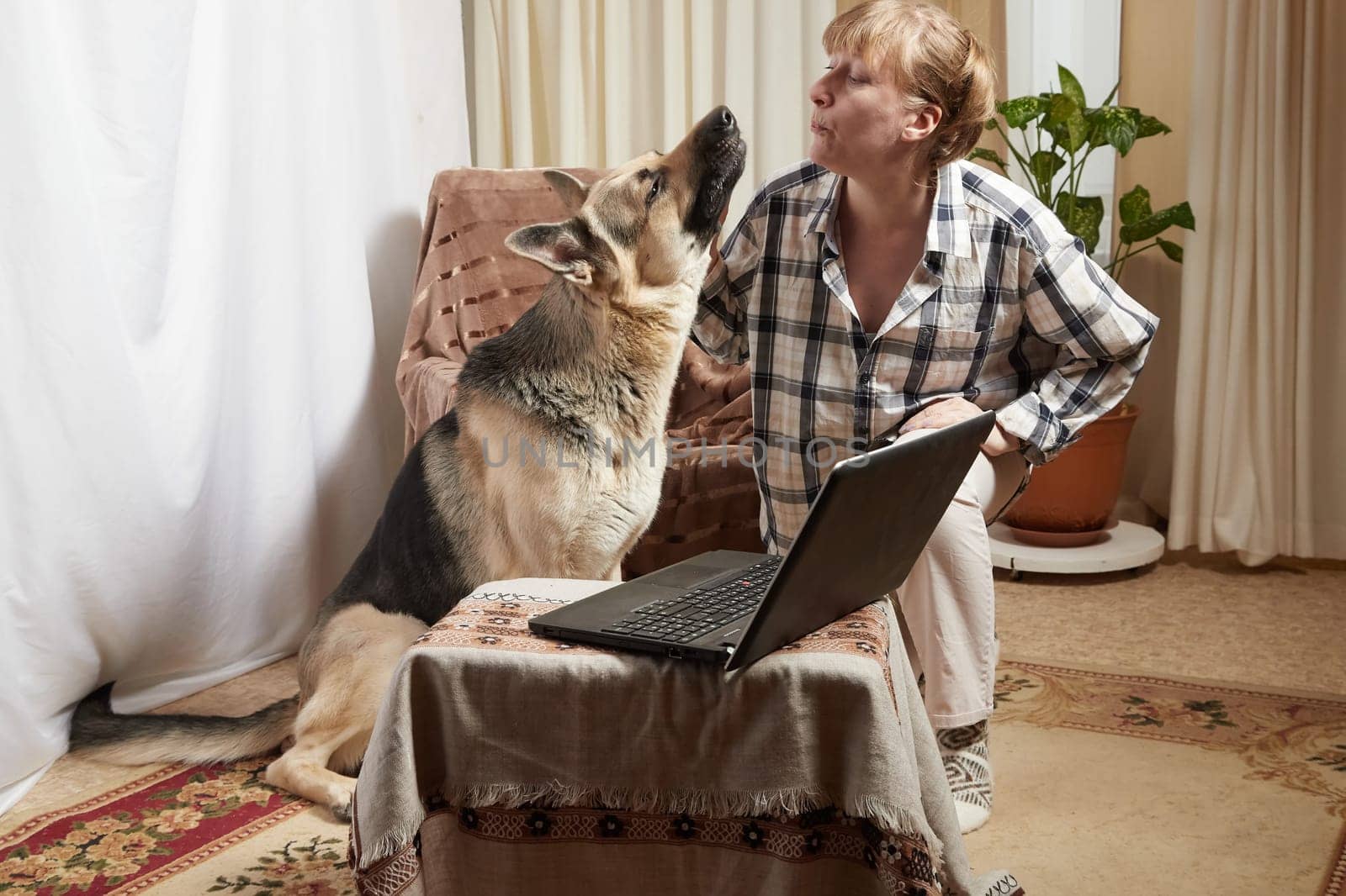 Woman and shepherd dog with netbook in living room. Portrait of a pet and a girl with laptop having fun and joy. Partial focus