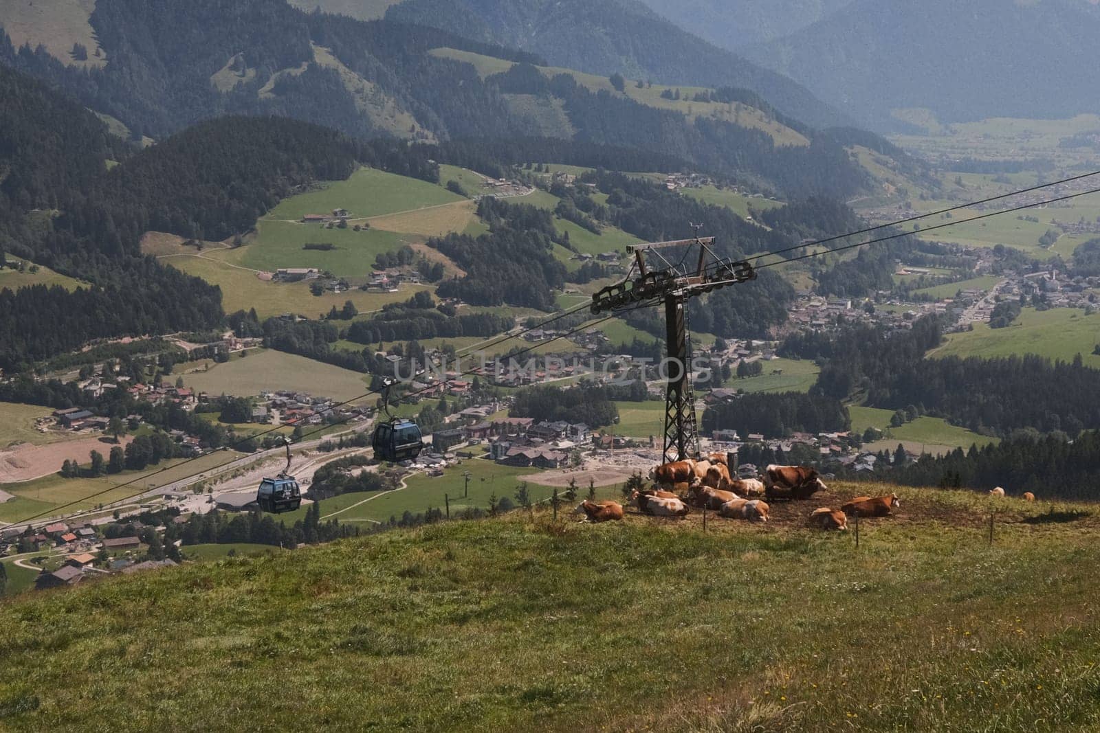 Beautiful scenic view of the alpine mountains and a herd of brown cows in Austria