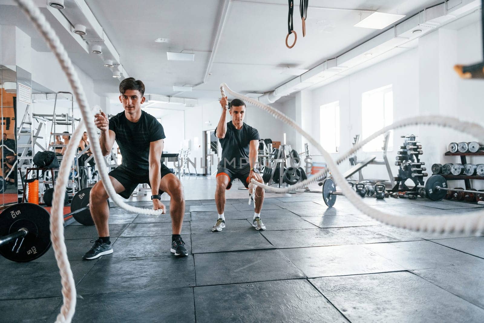 Young people with sportive body shapes doing crossfit by using knots.