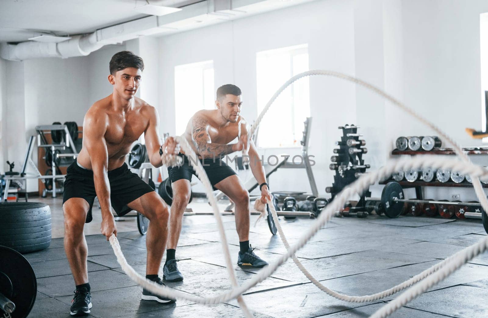 Young people with sportive body shapes doing crossfit by using knots.