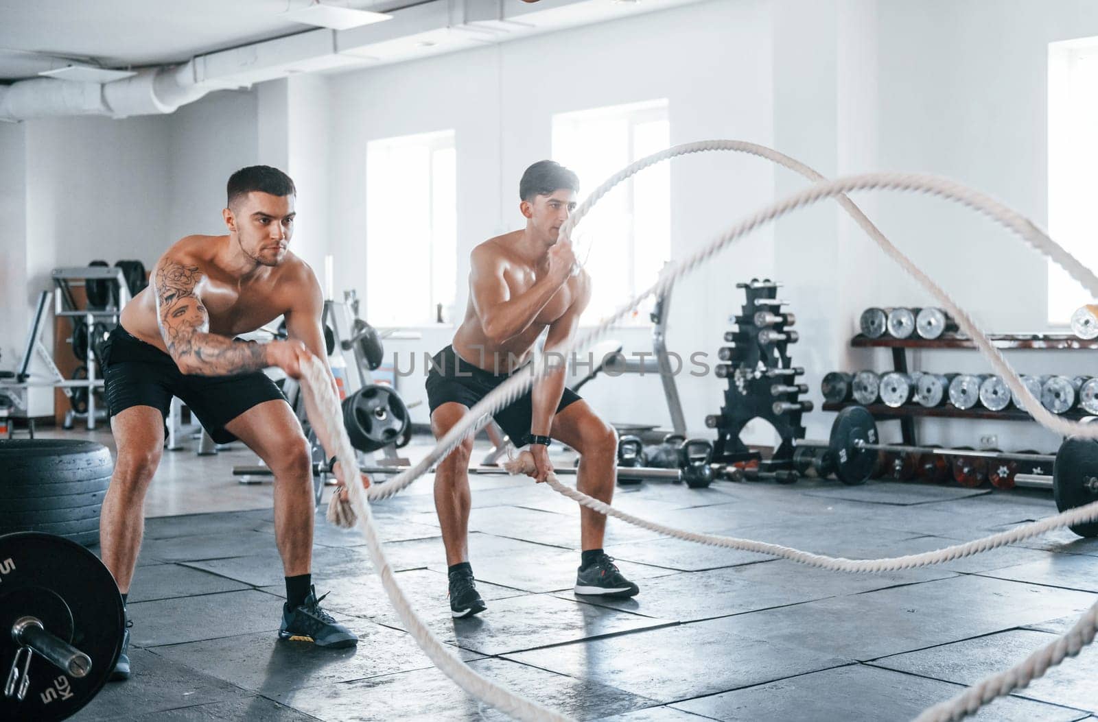 Young people with sportive body shapes doing crossfit by using knots.