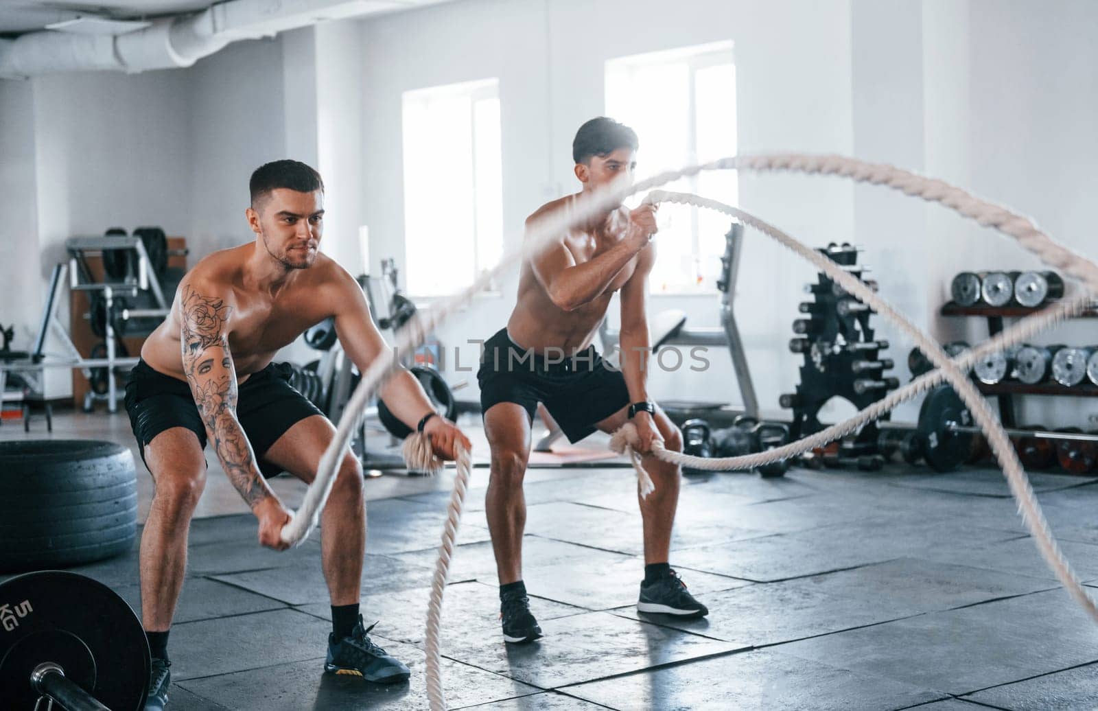 Young people with sportive body shapes doing crossfit by using knots.