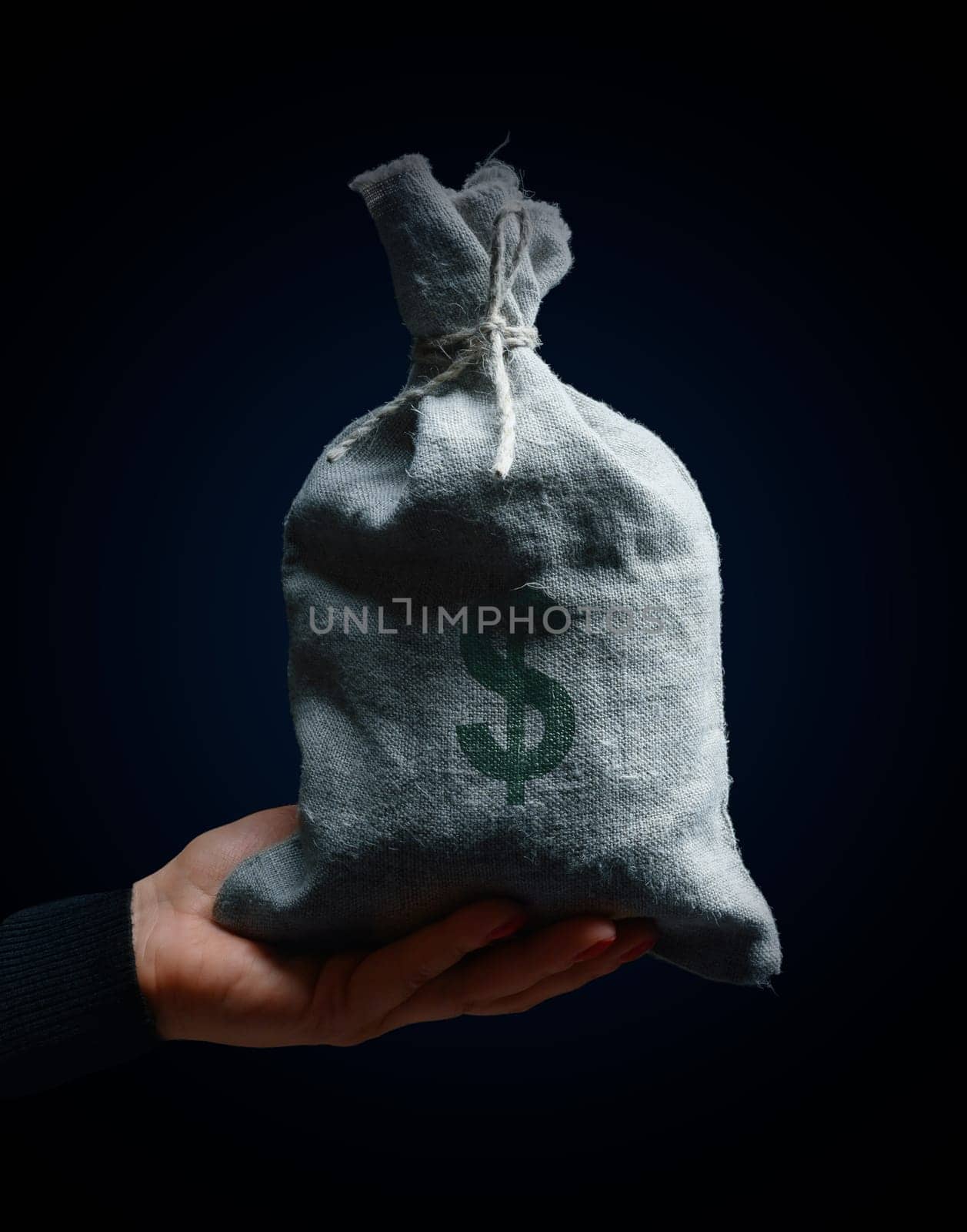 A female hand holding a full burlap sack with a dollar sign, concept of wealth, profitable business by ndanko