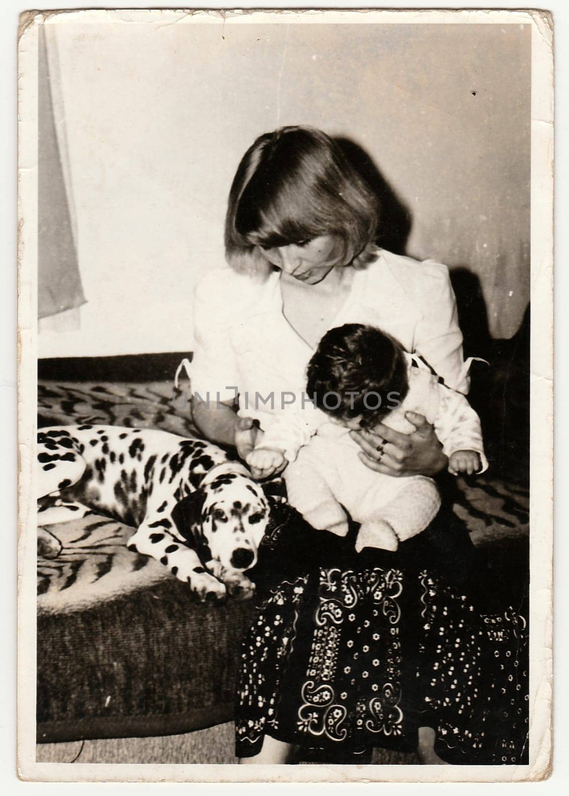 Retro photo shows child, mother and dog who sit on sofa. Black and white vintage photography. by roman_nerud