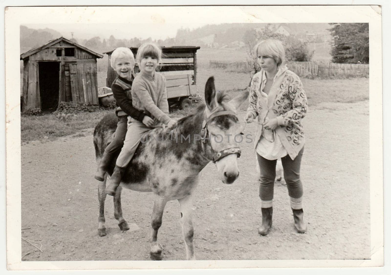 THE CZECHOSLOVAK SOCIALIST REPUBLIC - CIRCA 1970s: Retro photo shows children who sit on donkey. Black and white vintage photography.