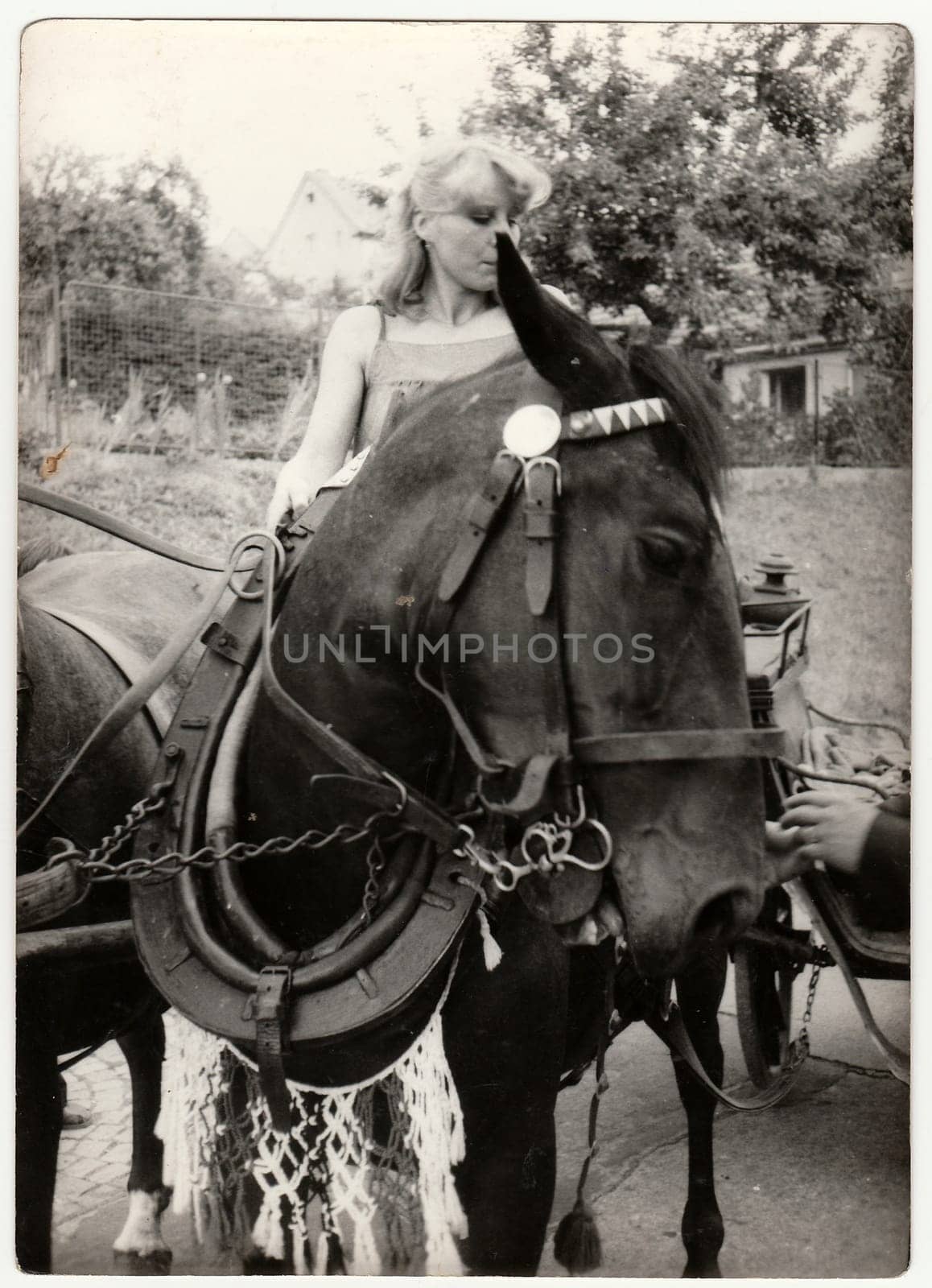 Retro photo shows young girl rides on the horse. Black and white vintage photography. by roman_nerud