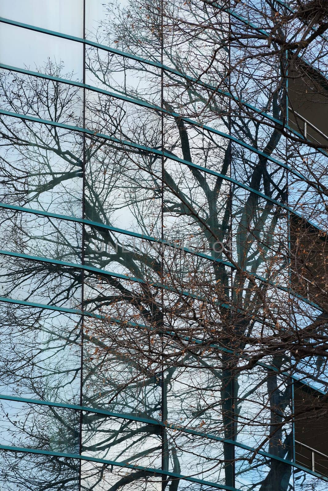 trees are reflected in the glass facade of a modern building by Annado