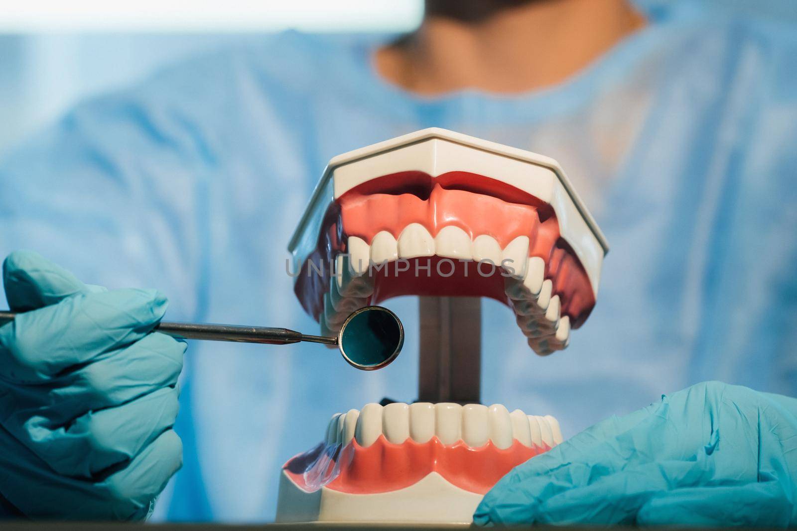 A dental doctor wearing blue gloves and a mask holds a dental model of the upper and lower jaws and a dental mirror.