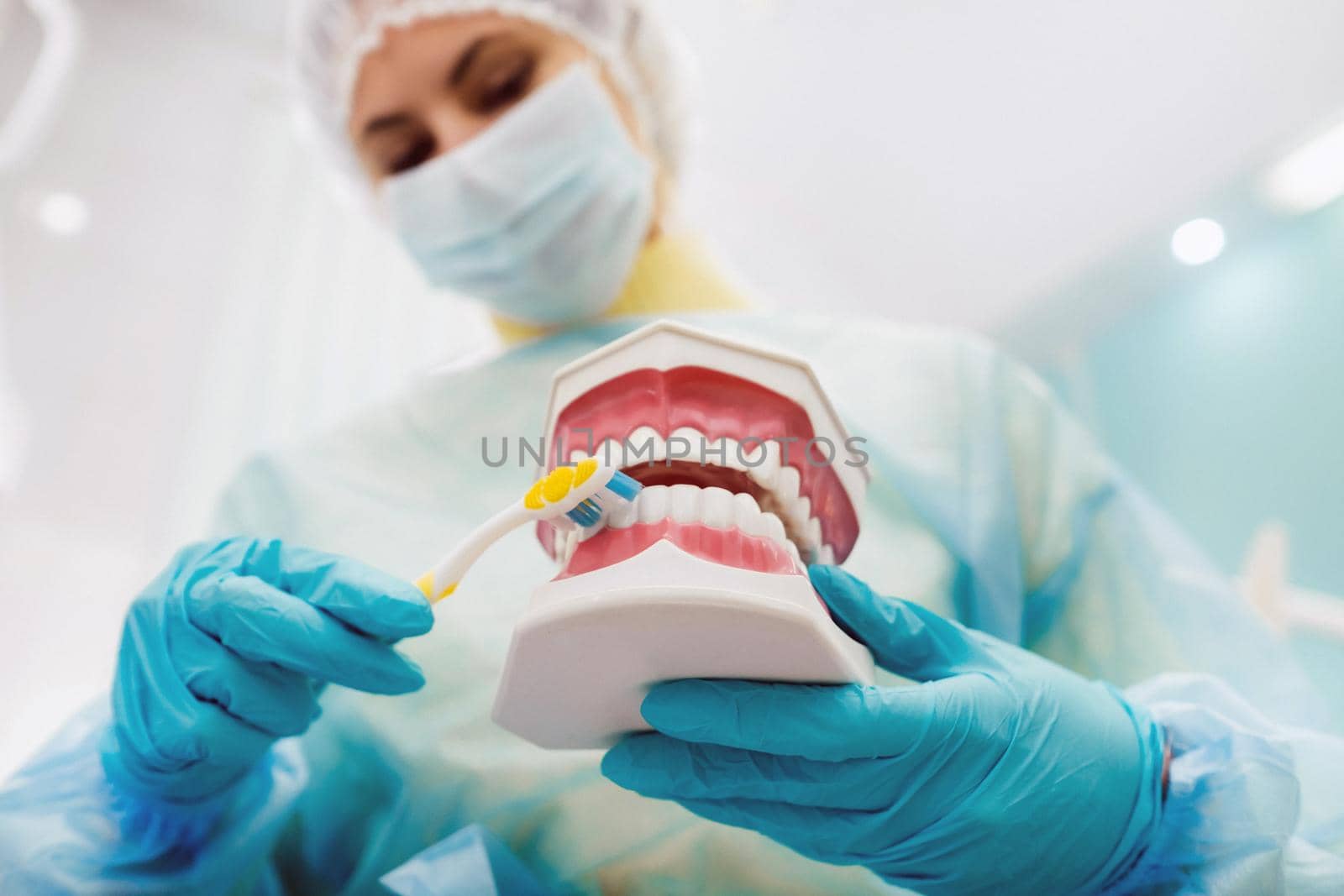 A model of a human jaw with teeth and a toothbrush in the dentist's hand.