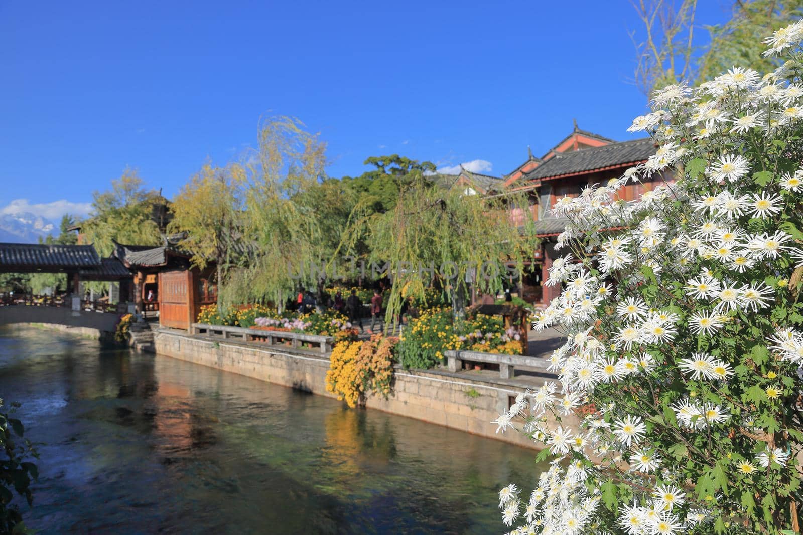 Creek at Lijiang old town , world Heritage site , Yunnan, China, Asia