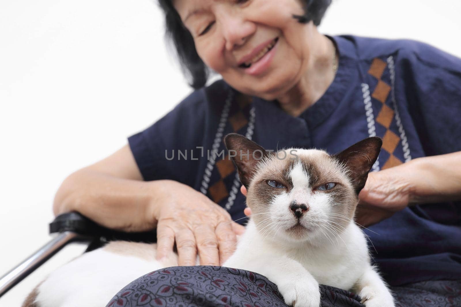 Elderly woman relaxed with her cat. by toa55