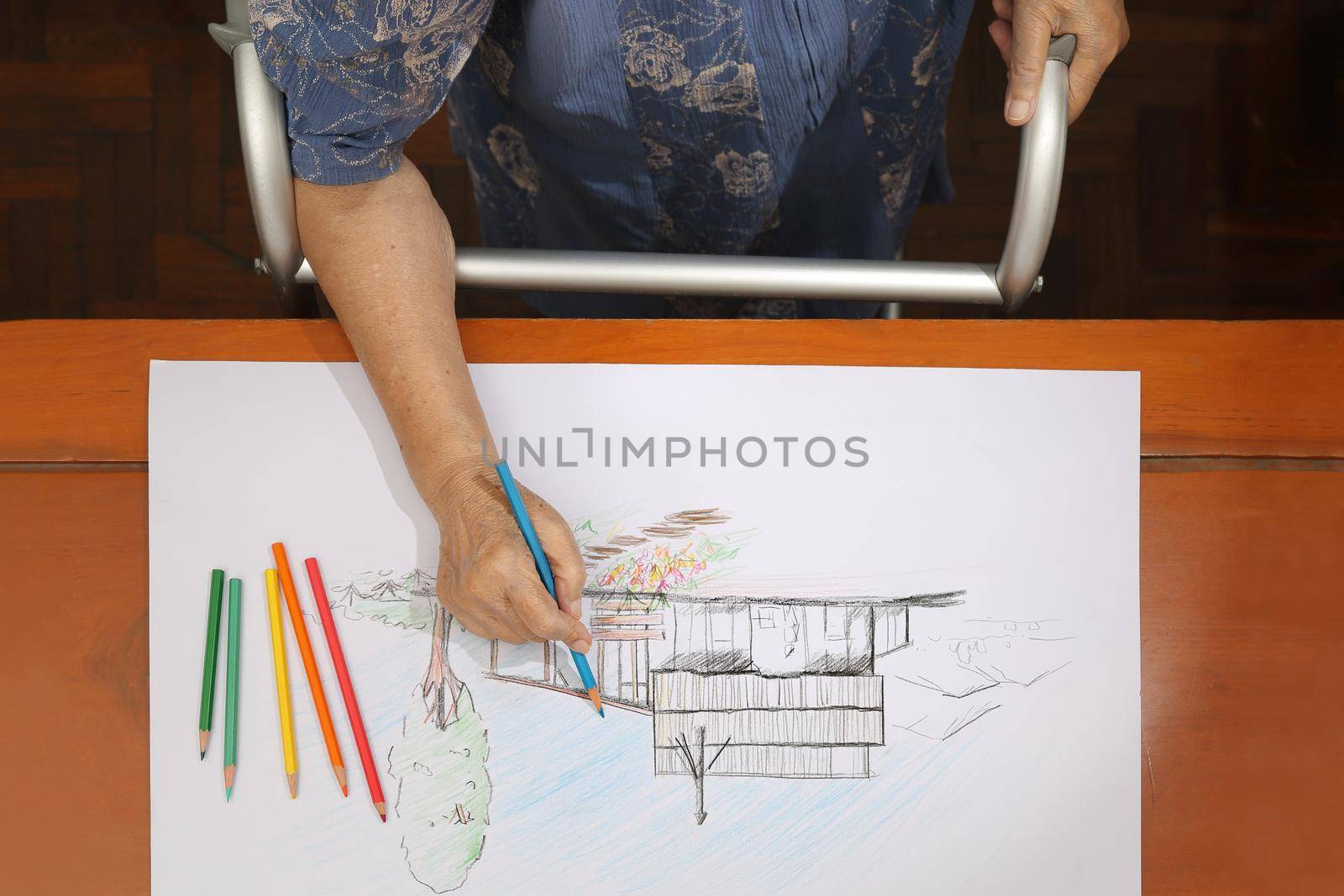 Elderly woman painting color on her drawing  , hobby at home