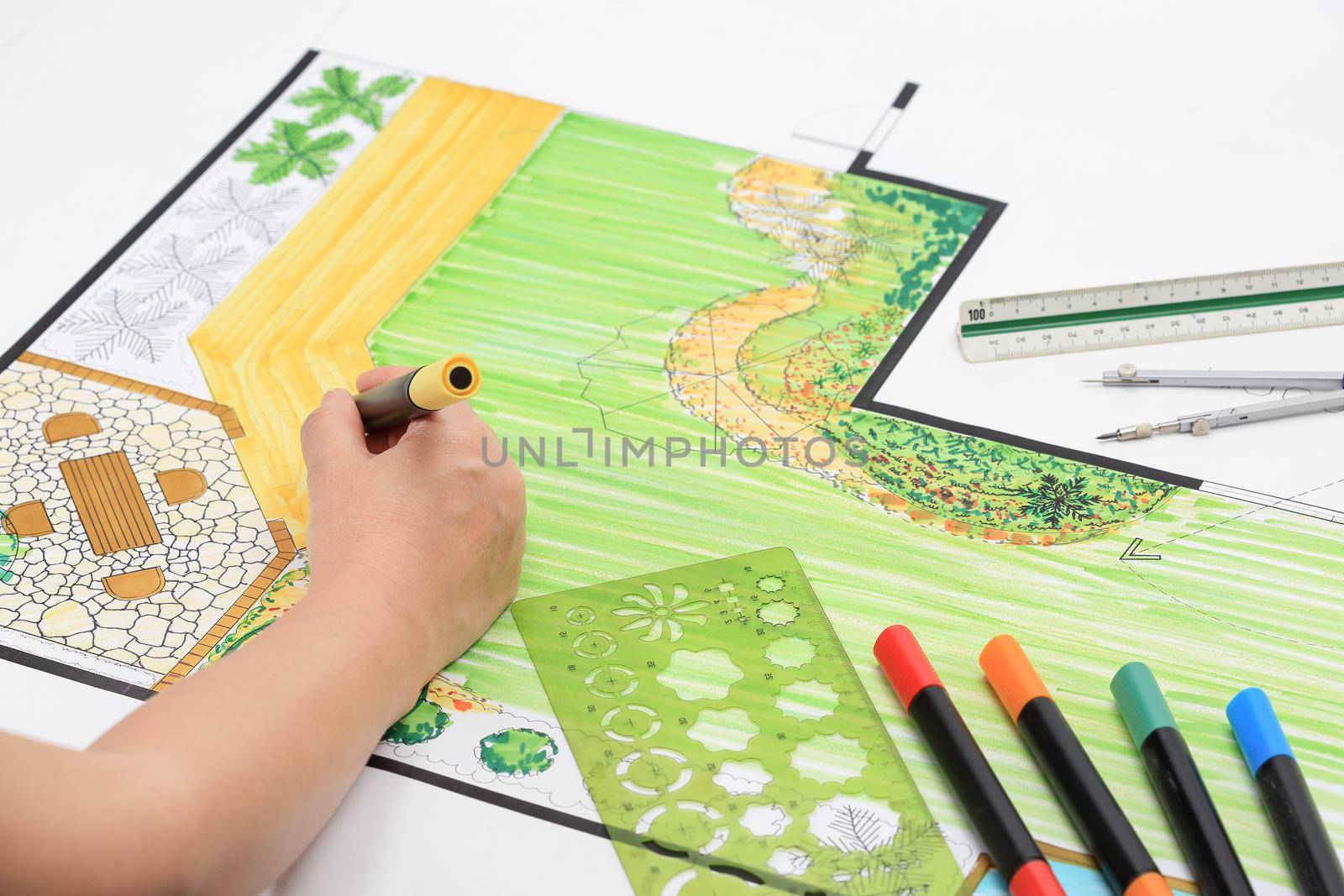 Backyard garden and pato design plan.