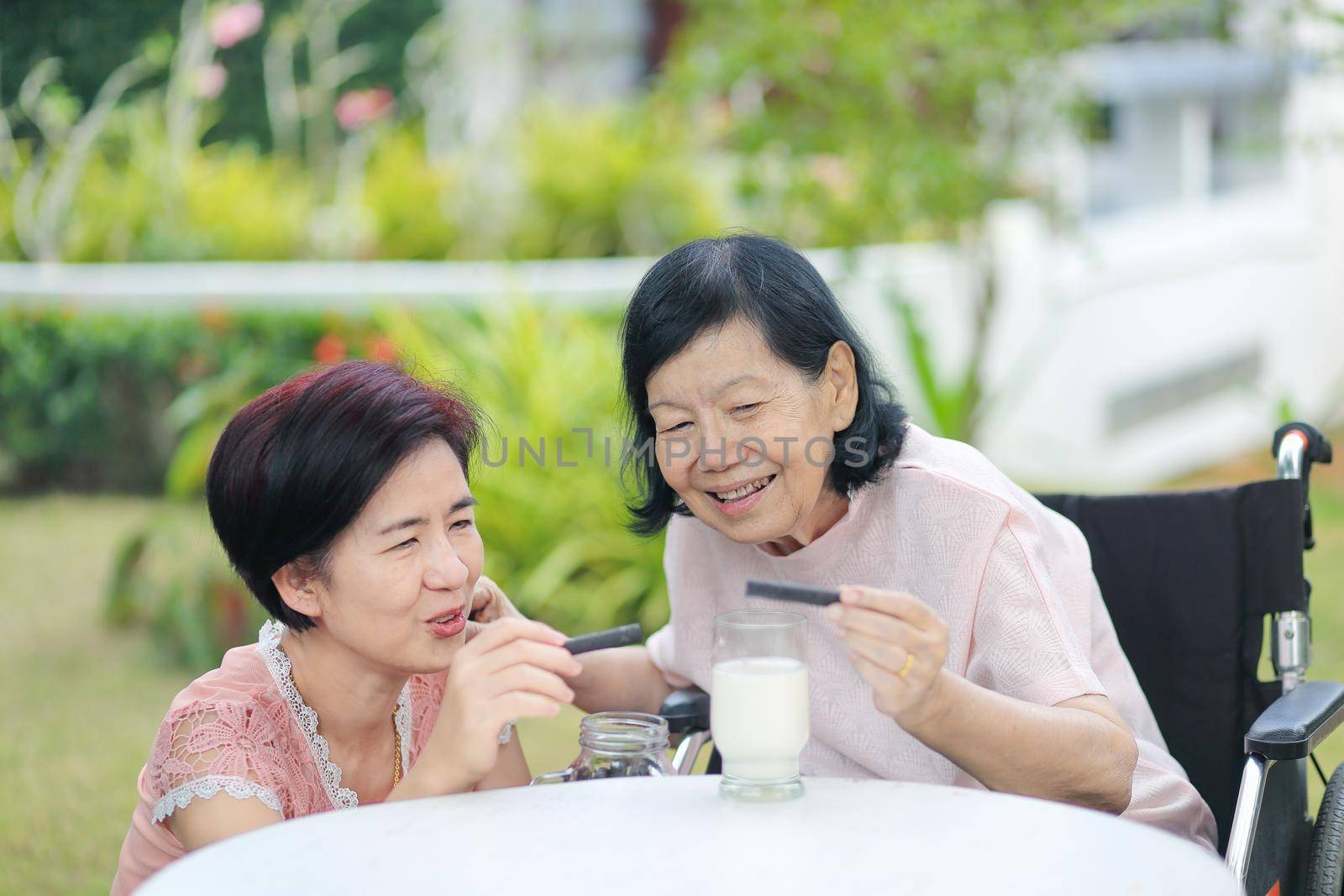 Daughter caring for the elderly asian woman ,picking a chocolate cookie to mother in backyard.