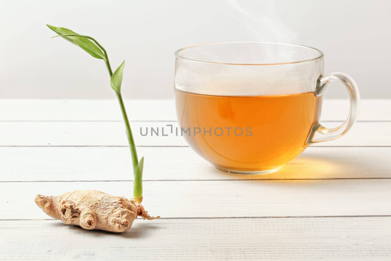 Cup of freshly brewed steaming tea on white boards desk, glass wet from moisture, dry ginger root with green sprout next to it