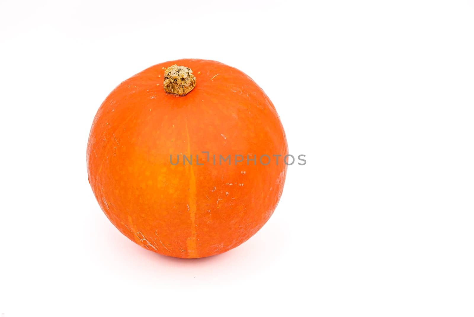 An organic Hokkaido pumpkin as a healthy food isolated against white in the studio