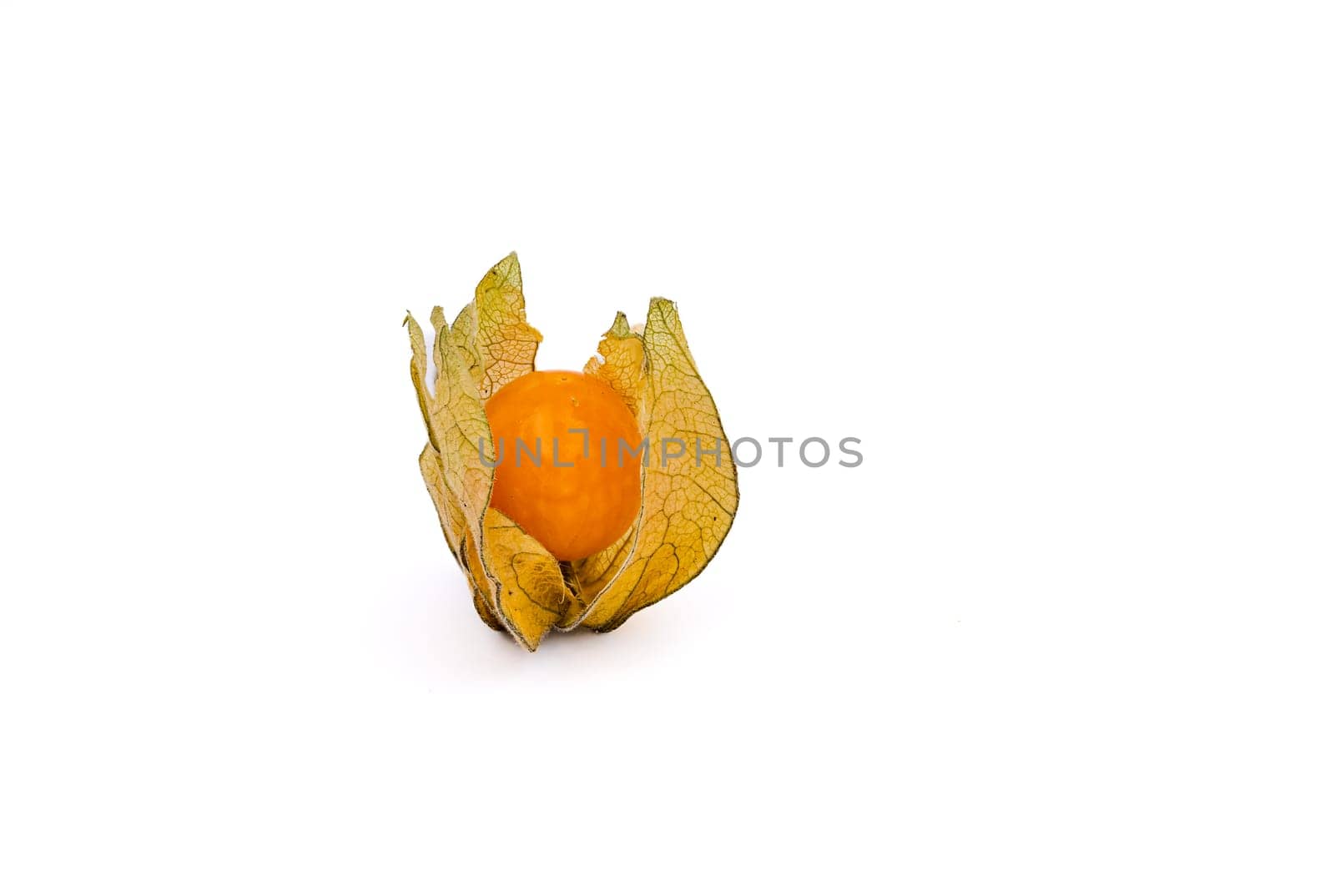 An orange Cape Gooseberry or Physalis for healthy eating isolated against a white background with focus stacking in the studio